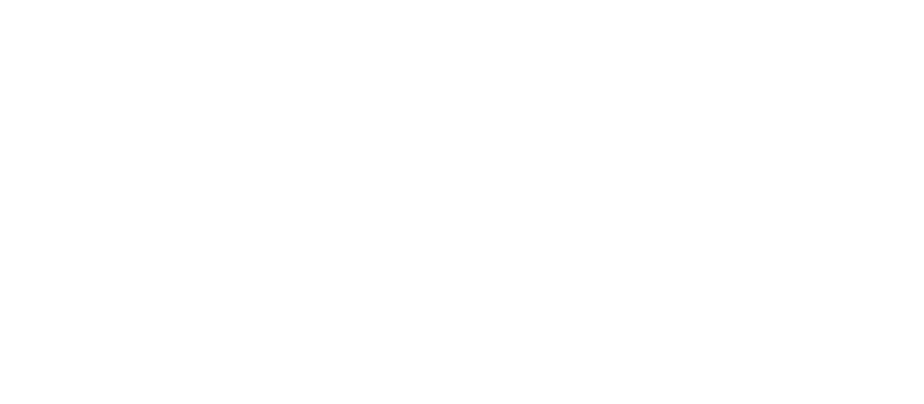 StadelmannExclusive_Logo_White